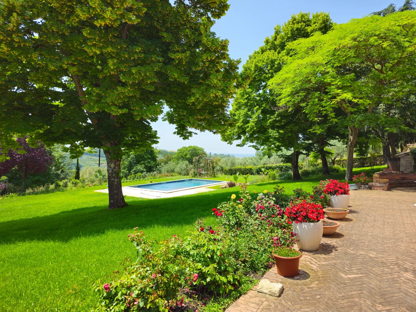 Original garden and flowers